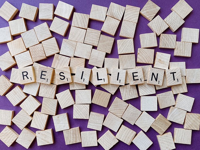 The Importance of Emotional Resilience in Leadership