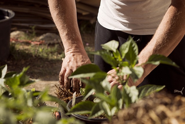 How to Build a Morning Routine That Energizes Your Day