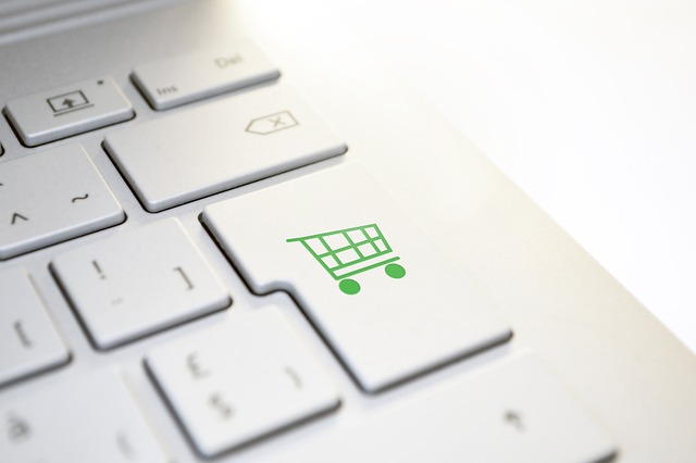 The Role of Multi-Channel Marketing in E-Commerce Success