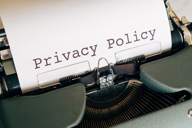 The Importance of Data Privacy in E-Commerce